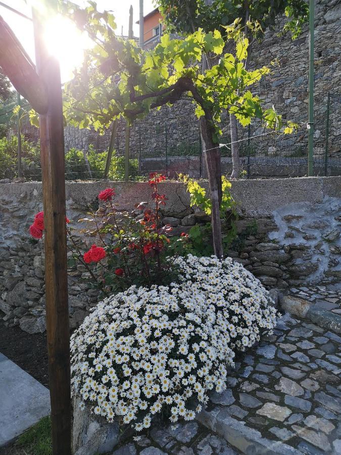 B&B Ca' Du Brigidin Tovo San Giacomo Exterior photo