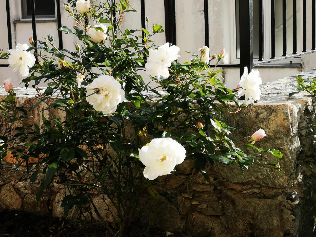 B&B Ca' Du Brigidin Tovo San Giacomo Exterior photo